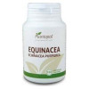 Plantapol Equinacea, Echinacea Purpurea 100 Comprimidos