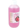 Plantapol Agua De Rosas 500Ml
