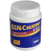 Gsn Creatina-125 (125Gr.Creat.+375 Carbohid.) 500G