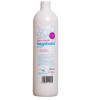 Begobaño Jabon Liquido 1Lt