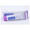 Vitis Xtra Forte Pasta Dentifrica (1 Envase 100 Ml)