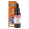 Salvia Extracto Glicerinado Sotya 60 Ml