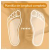 Plantillas Zona Lumbar - Scholl In-Balance (Talla M 1 Par)