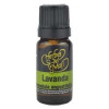 Herbes Del Moli Aceite Esencial Lavanda Officinalis Eco 10 Ml