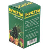 Nutribiol Envozym Enzimas Proteolíticas 100Comp.