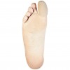 Gelastic Losan Funda Protectora Soporte Textil T-L 1Ud