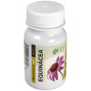 Echinacea 500Mg. 100Comp.