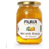 Miel Bresca Romero C/panal 500g - Muria