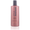 Style Masters Smooth Shampoo For Straight Hair 400 Ml