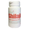 Ayurveda Shilajit 60cap - Ayurveda Autentico