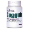 Ayurveda Guggulu 60Caps