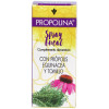 Artesania Agricola Propolina Spray 30Ml
