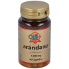 Arandano 1000Mg 60 Caps.