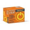 Normovital Energy (20 Ampollas Bebibles)