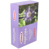 Integralia Pasiflora Plus 20 Ampollas
