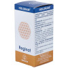 Holoram Reginat - Equisalud - 60 Cápsulas.