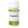 Holofungi Coprinus Comatus 50Cáps