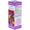 Flower Of Life Estudiantes 15Ml.