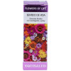 Flower Of Life Sentido De La Vida 15Ml.