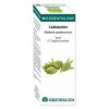 Bio Essential Oils Cardamomo Aceite Esencial 10Ml.