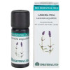 Bio Essential Oils Lavanda Aceite Esencial 10Ml.