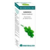 Bio Essential Oils Albahaca Aceite Esencial 10Ml.