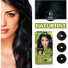 Naturtint 2.1 Negro Azulado 170 Ml