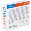 Vitalfarma Dha Select (Vegetal), 30 Cápsulas