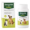 Dermovital Zinc Perros Y Gatos 60Comp.