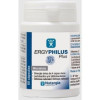 Ergyphilus Plus 60Cap. (Refrigeracion)