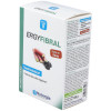Ergyfibral 12Cubos
