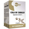 Waydiet Natural Cola Caballo Phytogranulos 45Caps