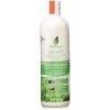 Sanasur Champu Seborregulador 500 Ml