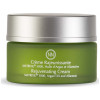 Innossence Crema Rejuvenecedora Matrikinas 50Ml