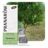 Ravensara Bio 10Ml Aceite Esencial