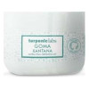 Goma Xantana Espesante 550Gr.