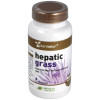 Hepatic Gras 60Cap.