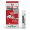 Gse Stomach Digestive Rapid 24Comp Masticables