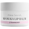 Alma Secret Bálsamo Labial Nca Inchi Y Miel De Manuka Fresa 10Ml