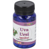 Alfa Herbal Uva Ursi Gayuba 60Caps