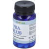 Pea Plus 60Cap.