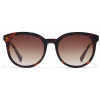 Hawkers Resort Gafas De Sol Carey Brown 1Ud