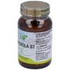 Rhodiola Rosea 60Cap.