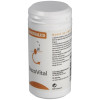 Equisalud Micronutrición Bazovital 60 Cápsulas