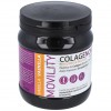 Vaminter Colagenova Movility Sabor Vainilla 390G