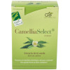 100% Natural Camellia Select Antioxidante 60Cáps