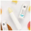 Stick Labial SPF20, 4 g. - BABE