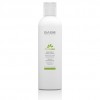 Babé Stop Akn Tónico Astringente 250Ml