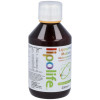 Liposomal Multivit 250Ml. Lipolife