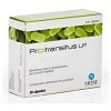 Protransitus Lp (30 Capsulas)